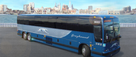 greyhound.png